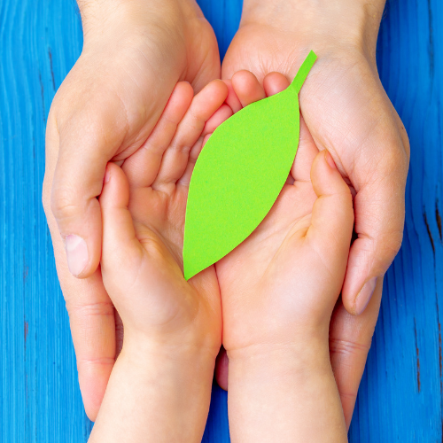 Környezetbarát/ÖKO tisztítószerek